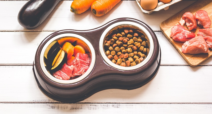 狗鮮食怎揀-狗狗鮮食比例及份量計算-健康檢查建議懶人包